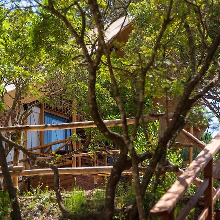 Camping Lacona Pineta Каполивери Экстерьер фото